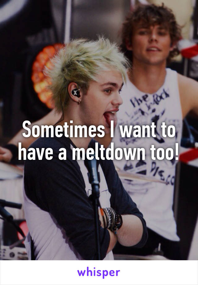 Sometimes I want to have a meltdown too!