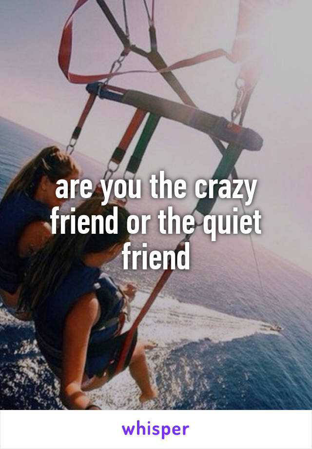are you the crazy friend or the quiet friend