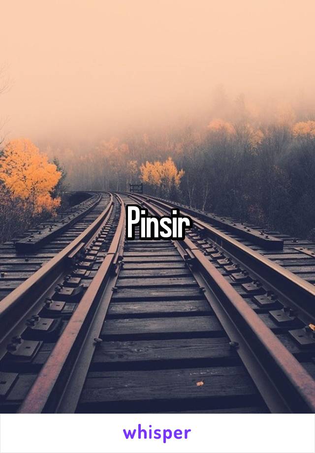 Pinsir