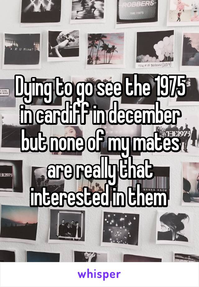 Dying to go see the 1975 in cardiff in december but none of my mates are really that interested in them 