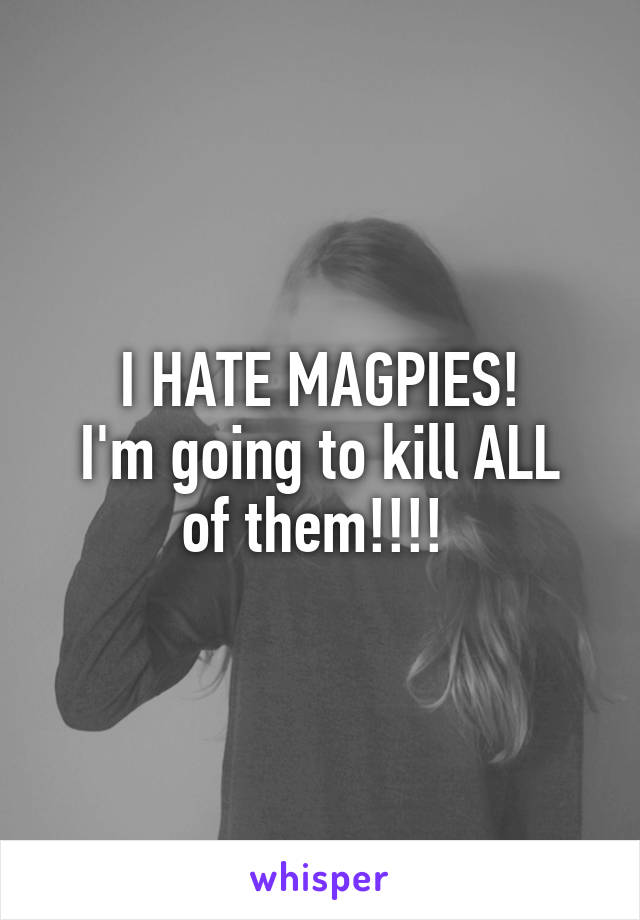 I HATE MAGPIES!
I'm going to kill ALL of them!!!! 