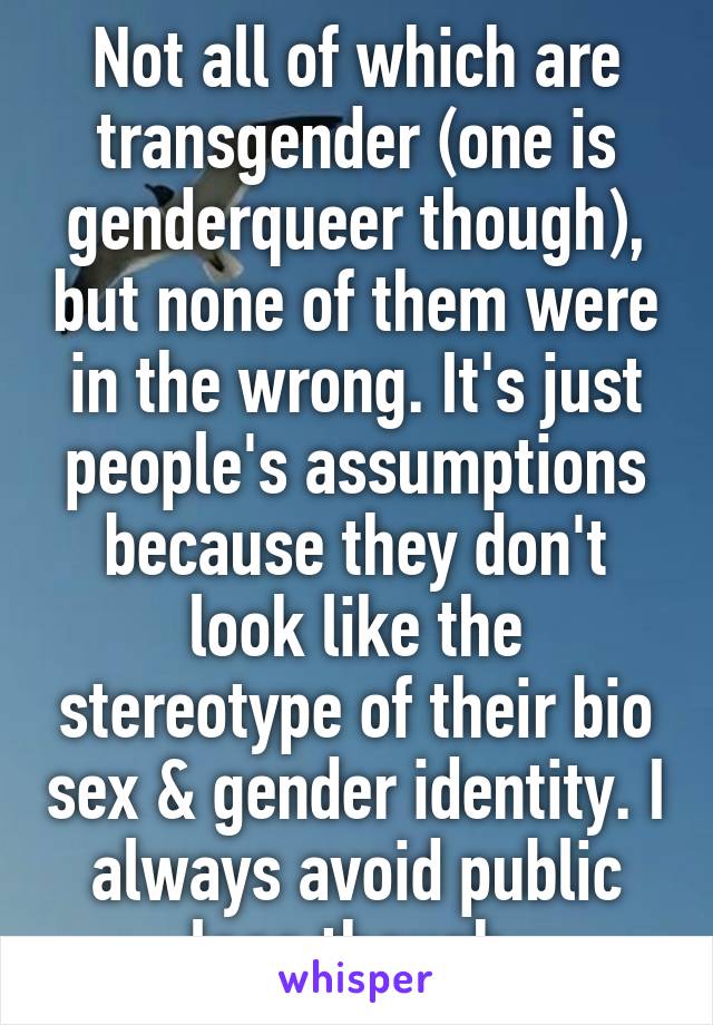 Not all of which are transgender (one is genderqueer though), but none of them were in the wrong. It's just people's assumptions because they don't look like the stereotype of their bio sex & gender identity. I always avoid public loos though.