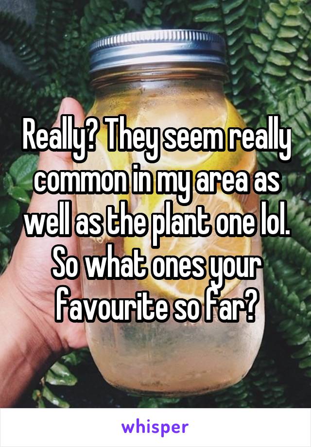 Really? They seem really common in my area as well as the plant one lol. So what ones your favourite so far?