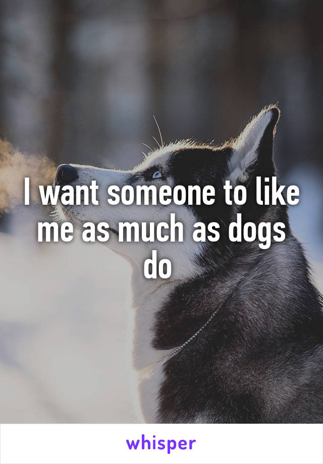 I want someone to like me as much as dogs do 