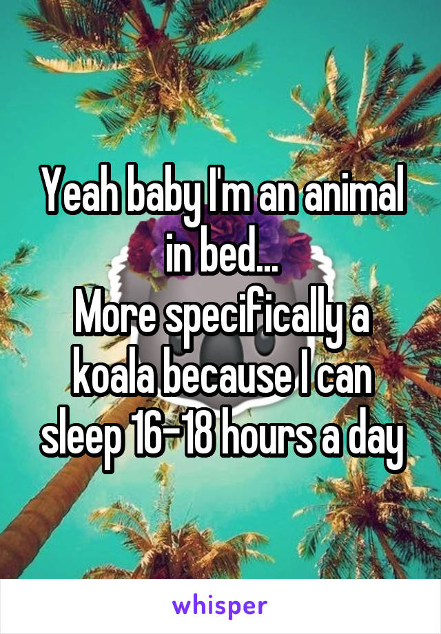 Yeah baby I'm an animal in bed...
More specifically a koala because I can sleep 16-18 hours a day