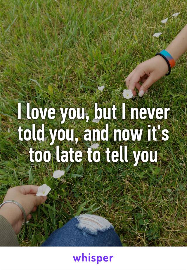 I love you, but I never told you, and now it's too late to tell you