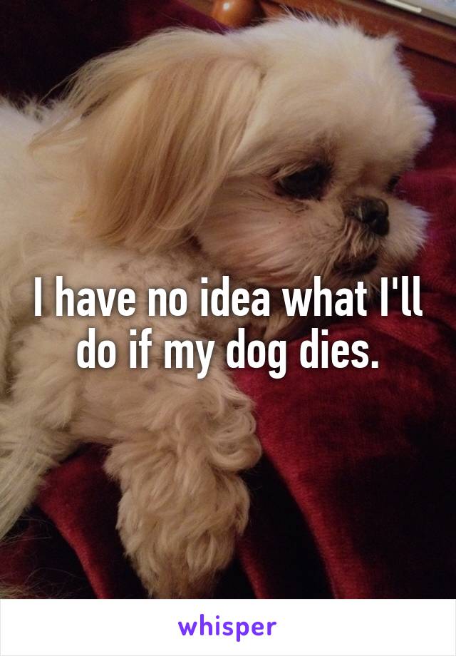 I have no idea what I'll do if my dog dies.