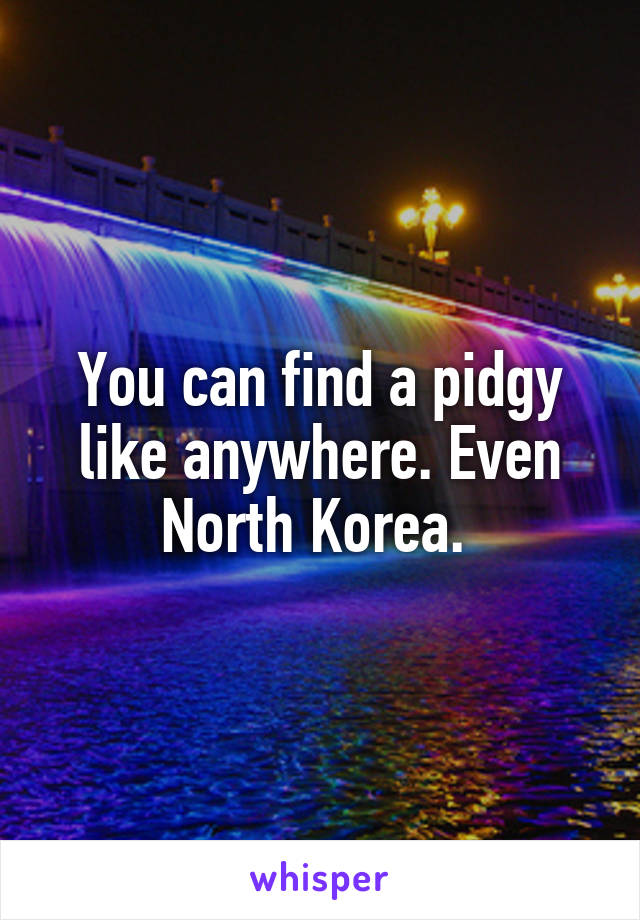 You can find a pidgy like anywhere. Even North Korea. 