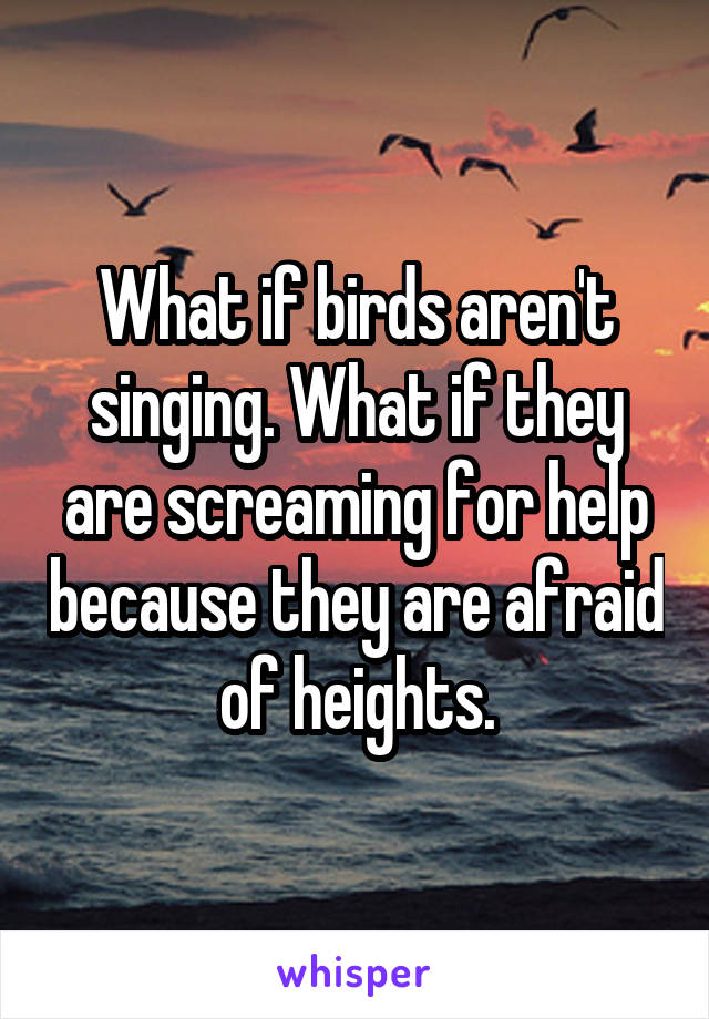 What if birds aren't singing. What if they are screaming for help because they are afraid of heights.