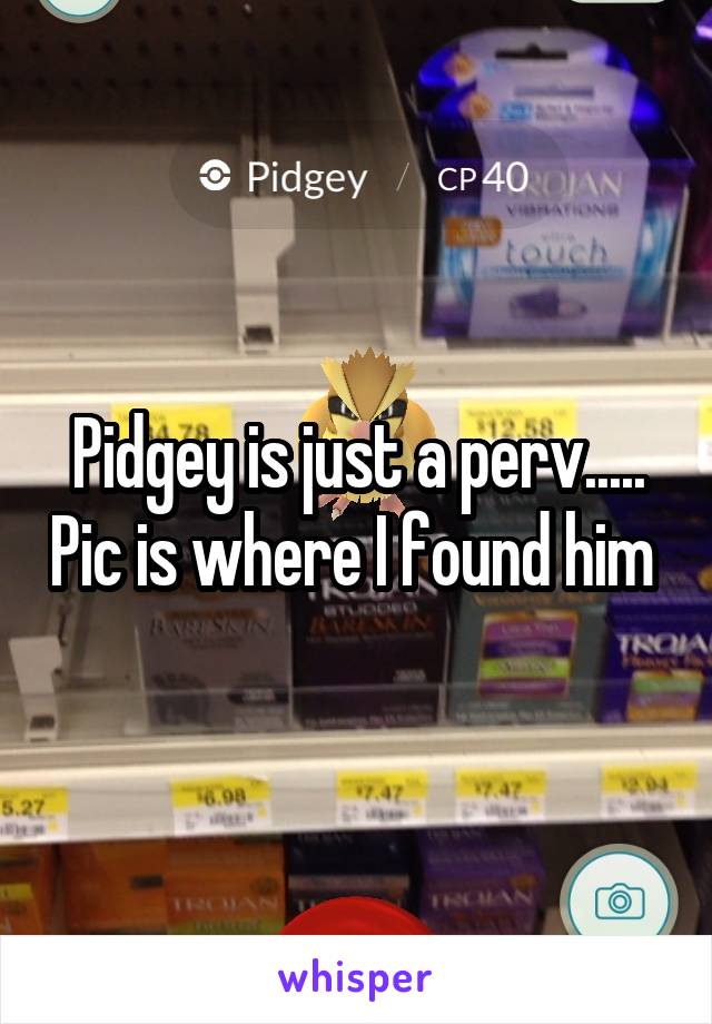 Pidgey is just a perv..... Pic is where I found him 