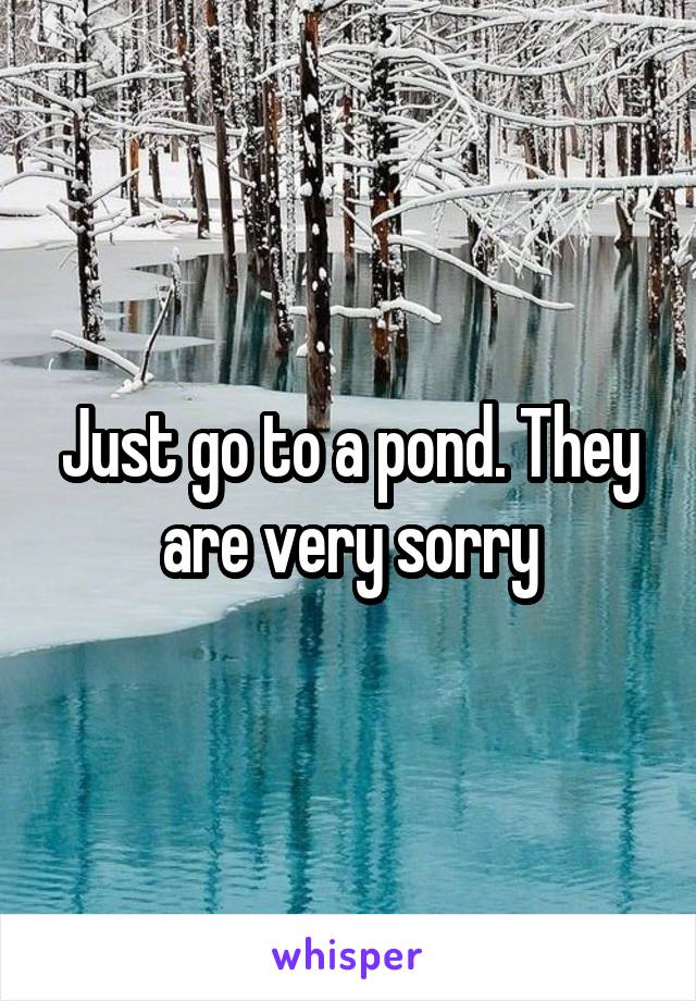 Just go to a pond. They are very sorry