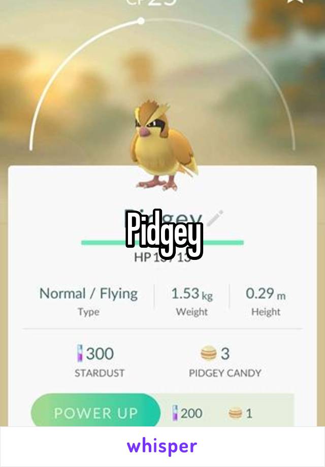 Pidgey