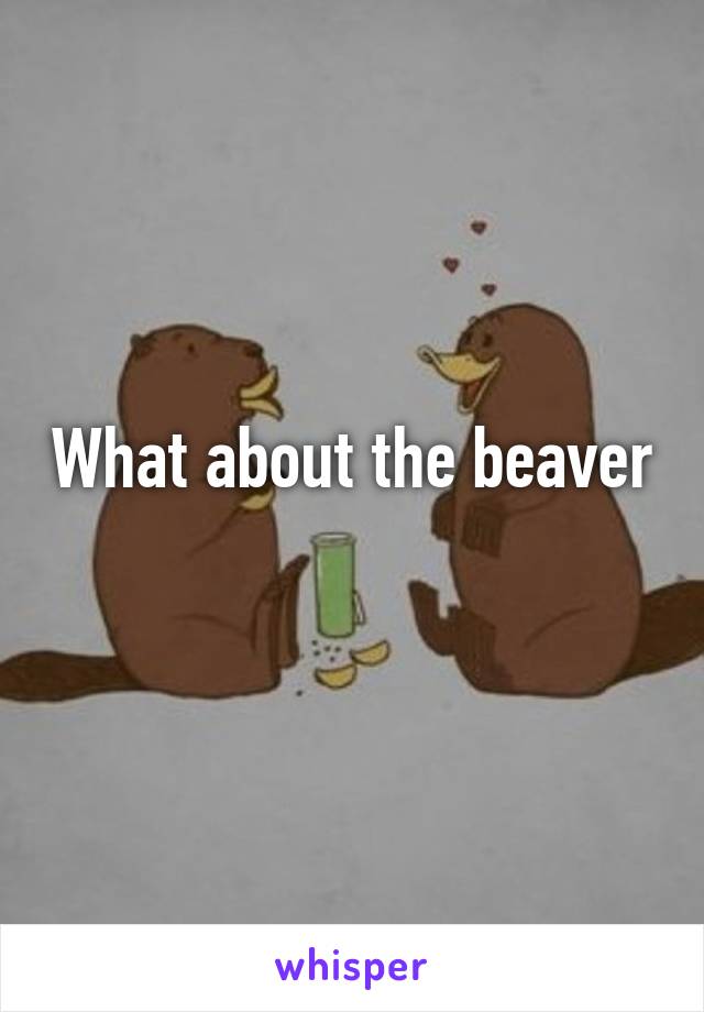 What about the beaver
