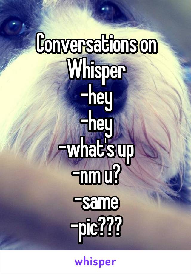 Conversations on Whisper
-hey
-hey
-what's up
-nm u?
-same
-pic???