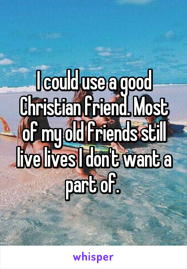 I could use a good Christian friend. Most of my old friends still live lives I don't want a part of. 