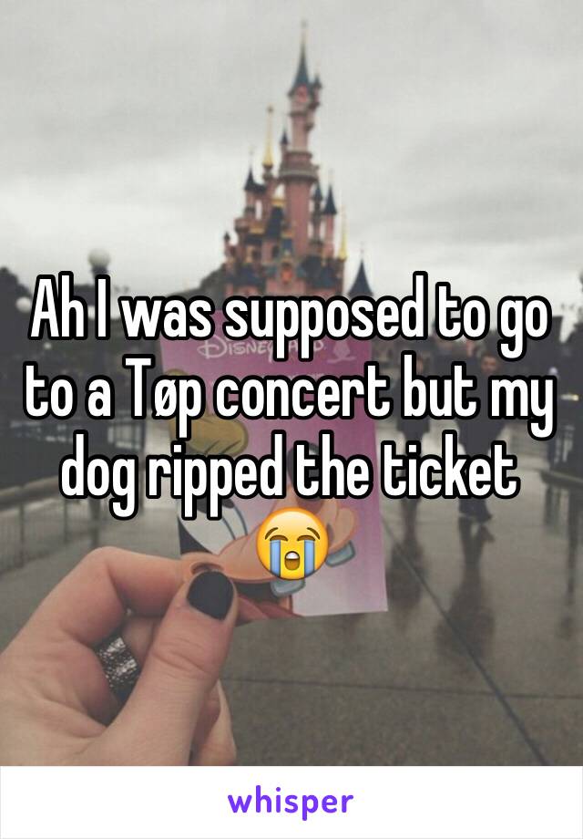 Ah I was supposed to go to a Tøp concert but my dog ripped the ticket 😭