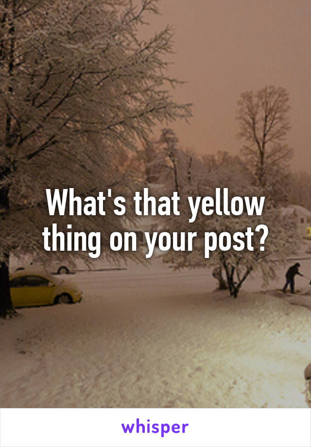 What's that yellow thing on your post?
