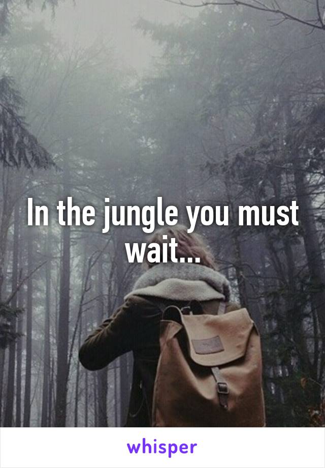 In the jungle you must wait...