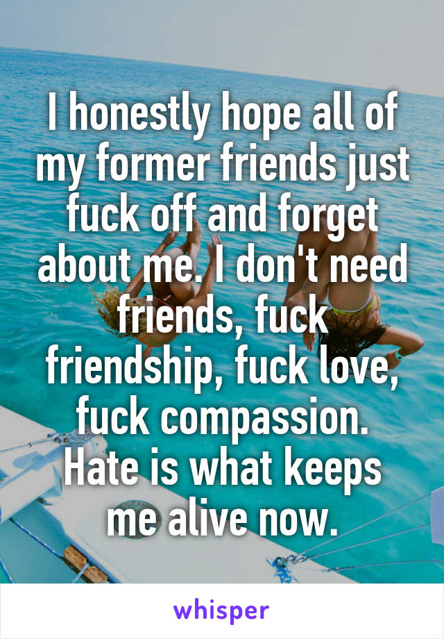 I honestly hope all of my former friends just fuck off and forget about me. I don't need friends, fuck friendship, fuck love, fuck compassion.
Hate is what keeps me alive now.