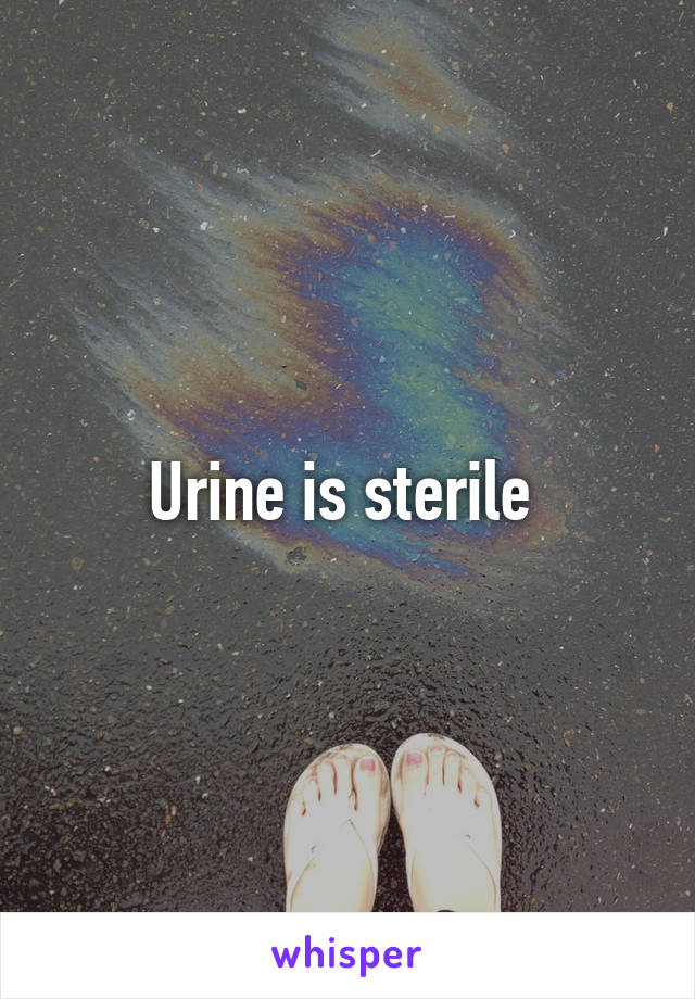 Urine is sterile 