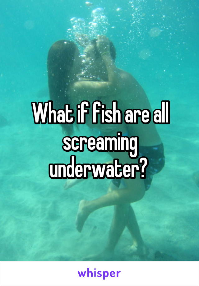 What if fish are all screaming underwater? 