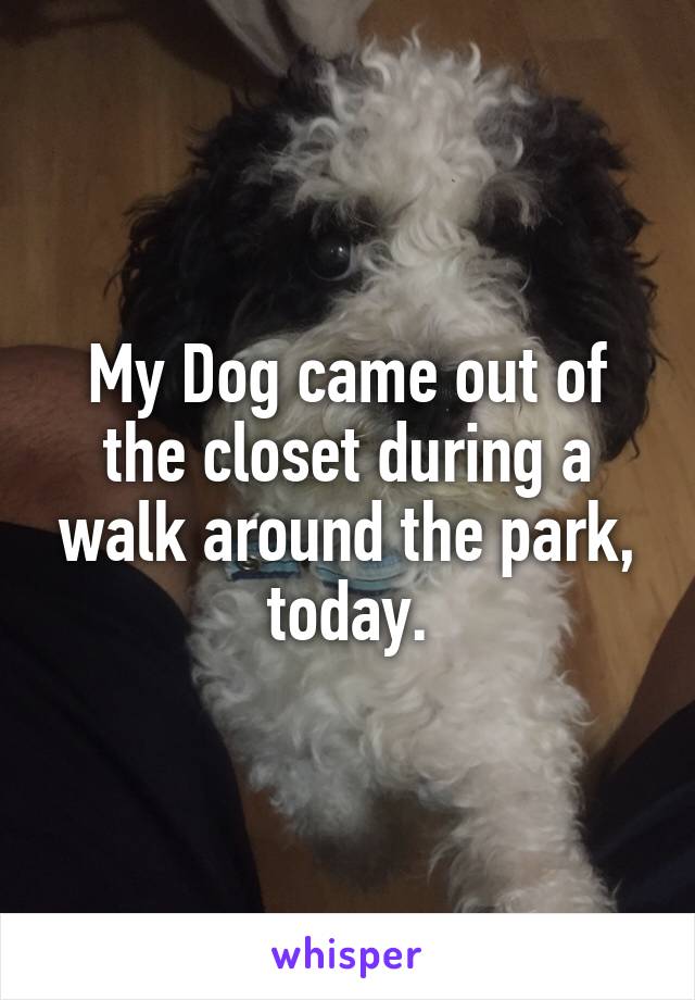 My Dog came out of the closet during a walk around the park, today.