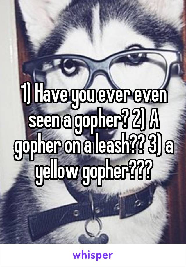 1) Have you ever even seen a gopher? 2) A gopher on a leash?? 3) a yellow gopher???