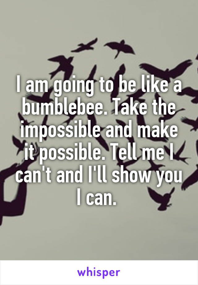 I am going to be like a bumblebee. Take the impossible and make it possible. Tell me I can't and I'll show you I can. 