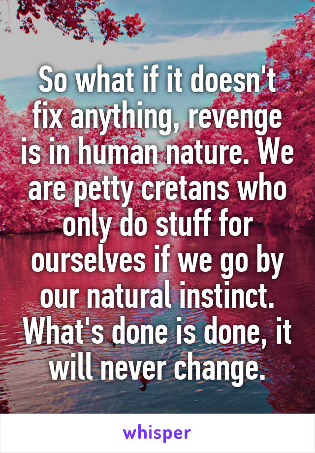 So what if it doesn't fix anything, revenge is in human nature. We are petty cretans who only do stuff for ourselves if we go by our natural instinct. What's done is done, it will never change.