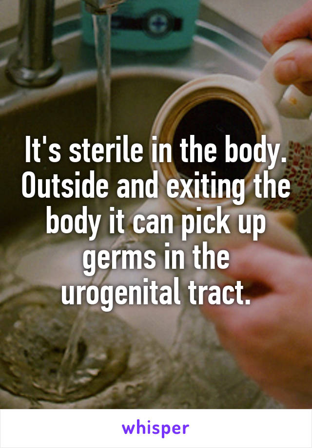 It's sterile in the body. Outside and exiting the body it can pick up germs in the urogenital tract.