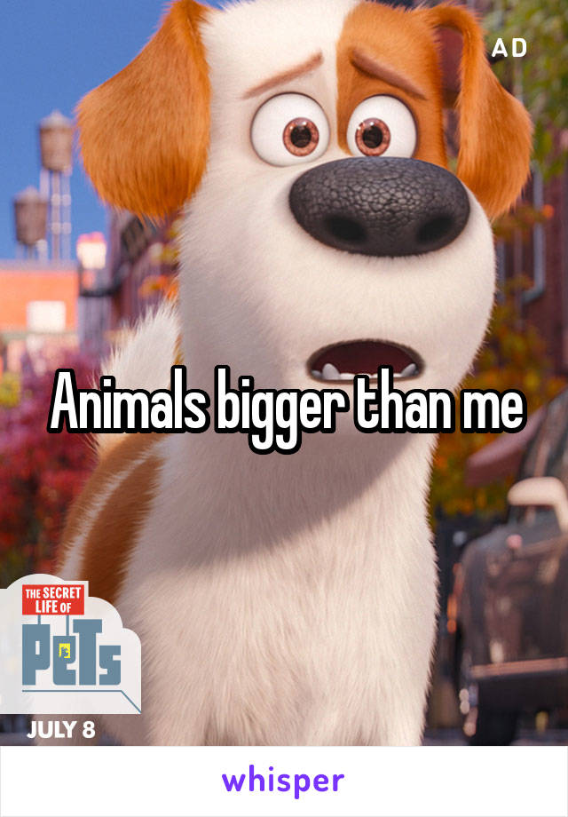 Animals bigger than me