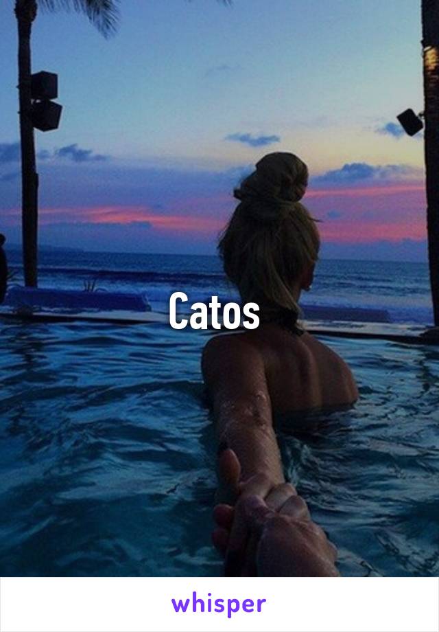 Catos 