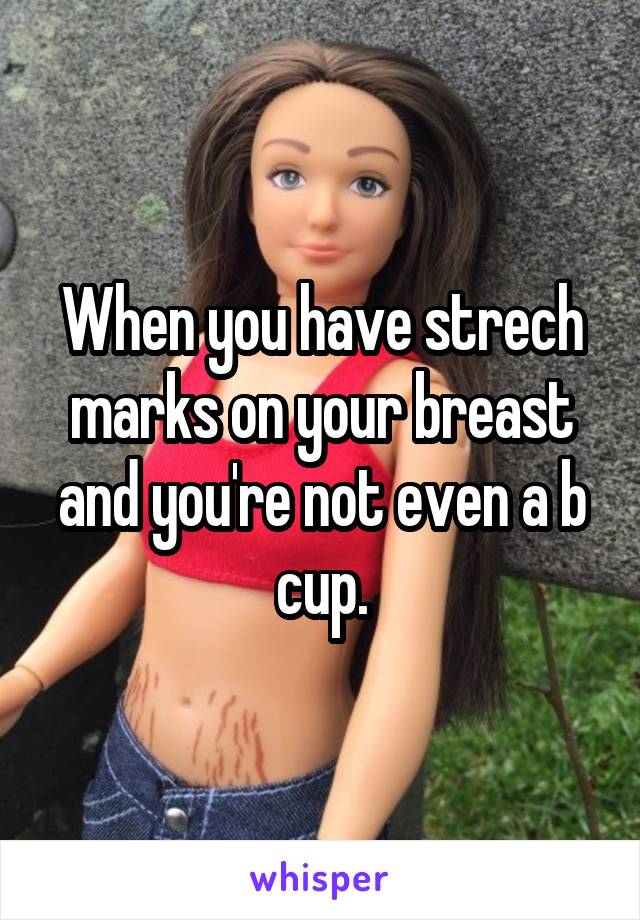 When you have strech marks on your breast and you're not even a b cup.