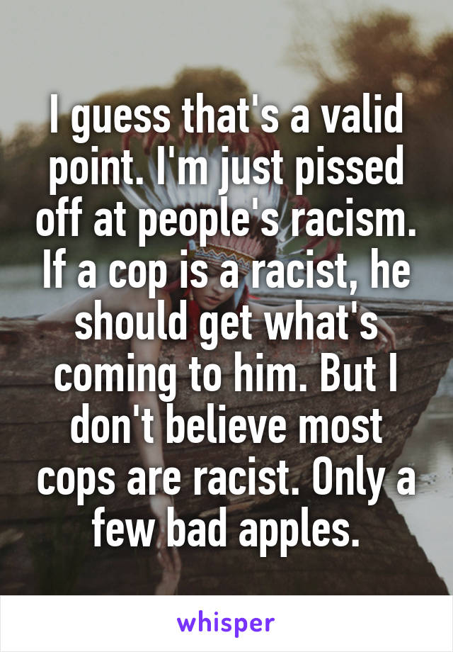 I guess that's a valid point. I'm just pissed off at people's racism. If a cop is a racist, he should get what's coming to him. But I don't believe most cops are racist. Only a few bad apples.