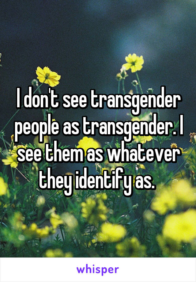 I don't see transgender people as transgender. I see them as whatever they identify as. 