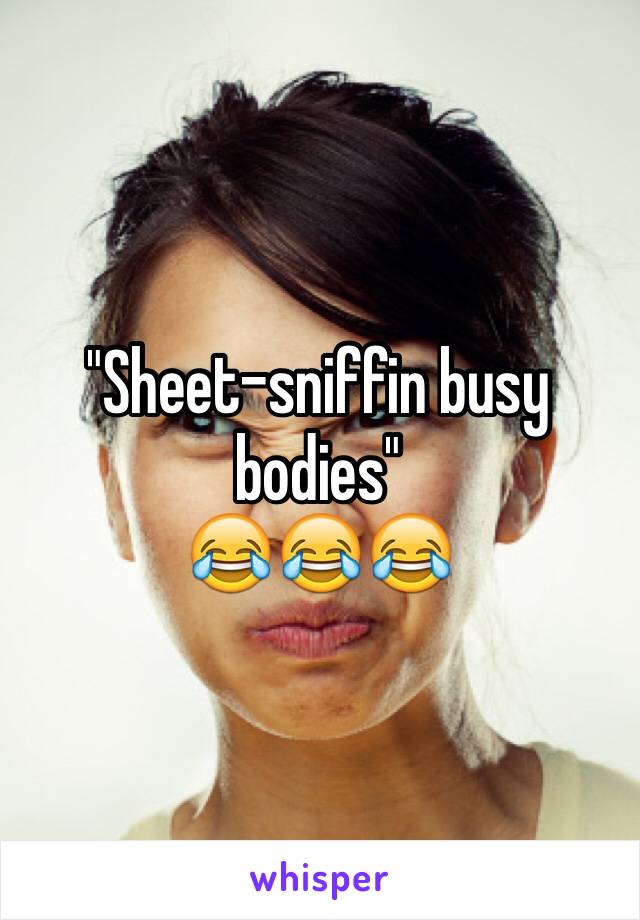 "Sheet-sniffin busy bodies"
😂😂😂