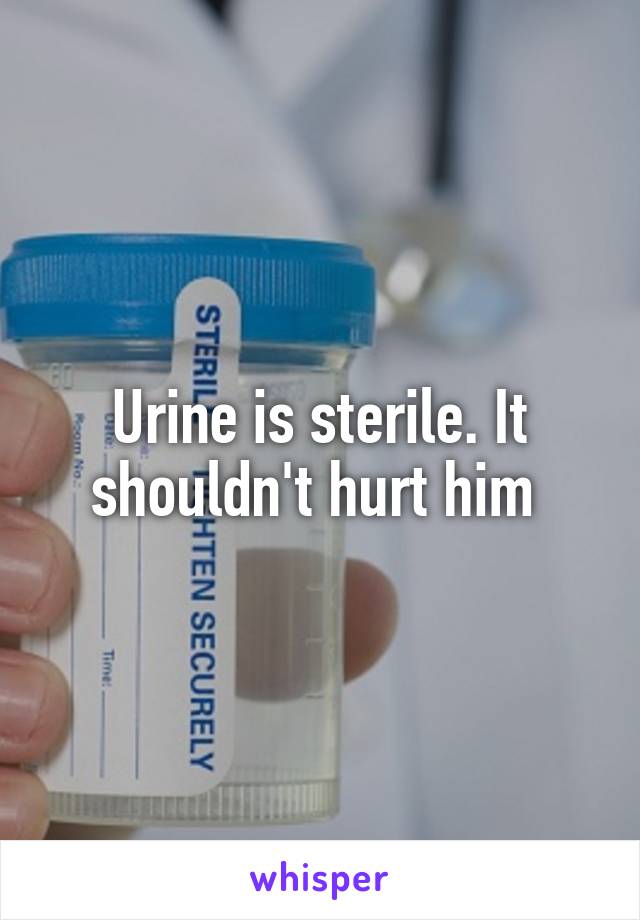 Urine is sterile. It shouldn't hurt him 