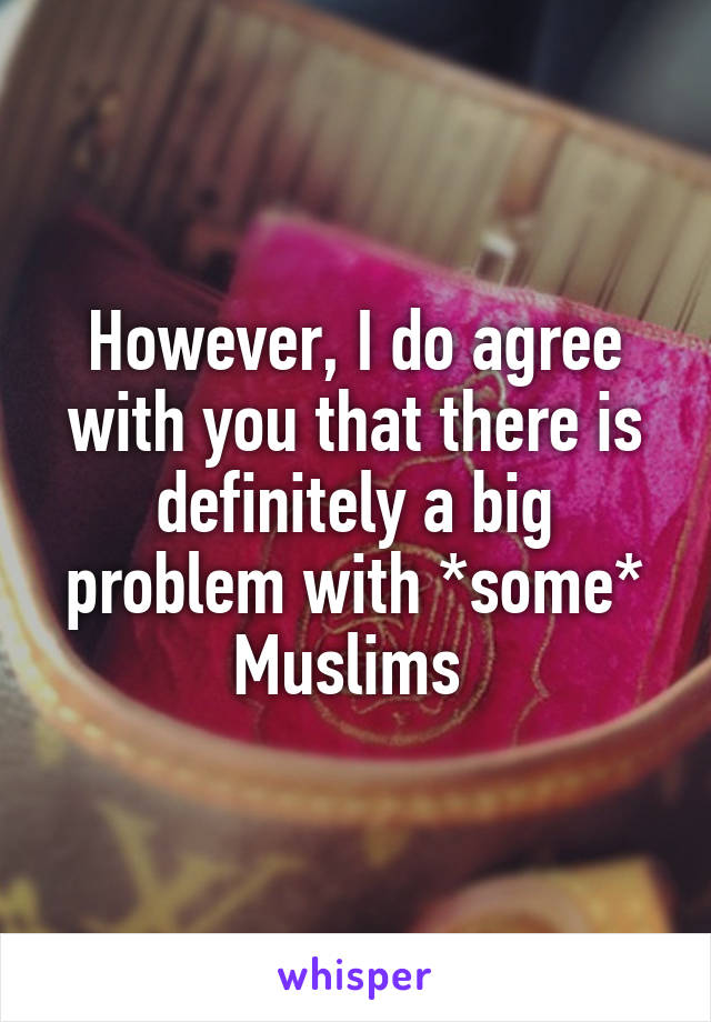 However, I do agree with you that there is definitely a big problem with *some* Muslims 