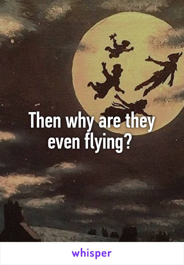 Then why are they even flying? 