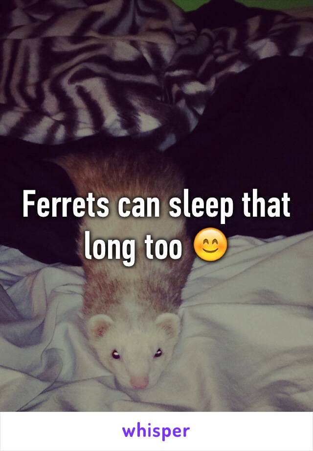 Ferrets can sleep that long too 😊