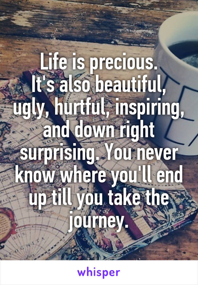 Life is precious.
It's also beautiful, ugly, hurtful, inspiring, and down right surprising. You never know where you'll end up till you take the journey.