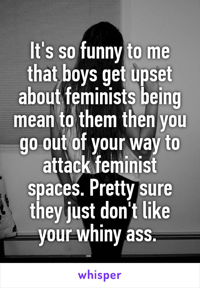 It's so funny to me that boys get upset about feminists being mean to them then you go out of your way to attack feminist spaces. Pretty sure they just don't like your whiny ass. 