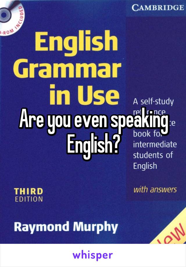 Are you even speaking English?