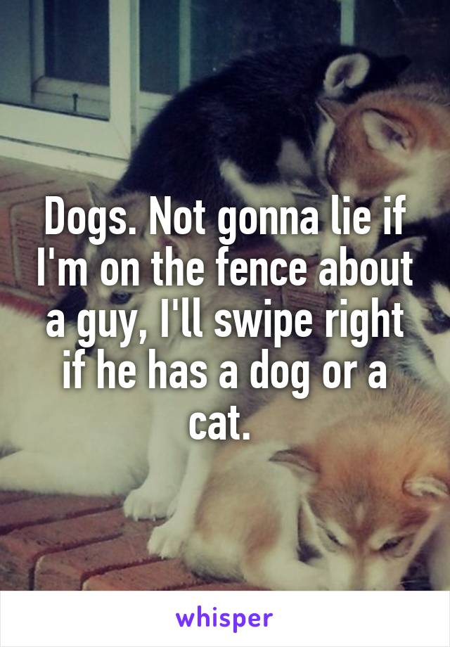 Dogs. Not gonna lie if I'm on the fence about a guy, I'll swipe right if he has a dog or a cat. 