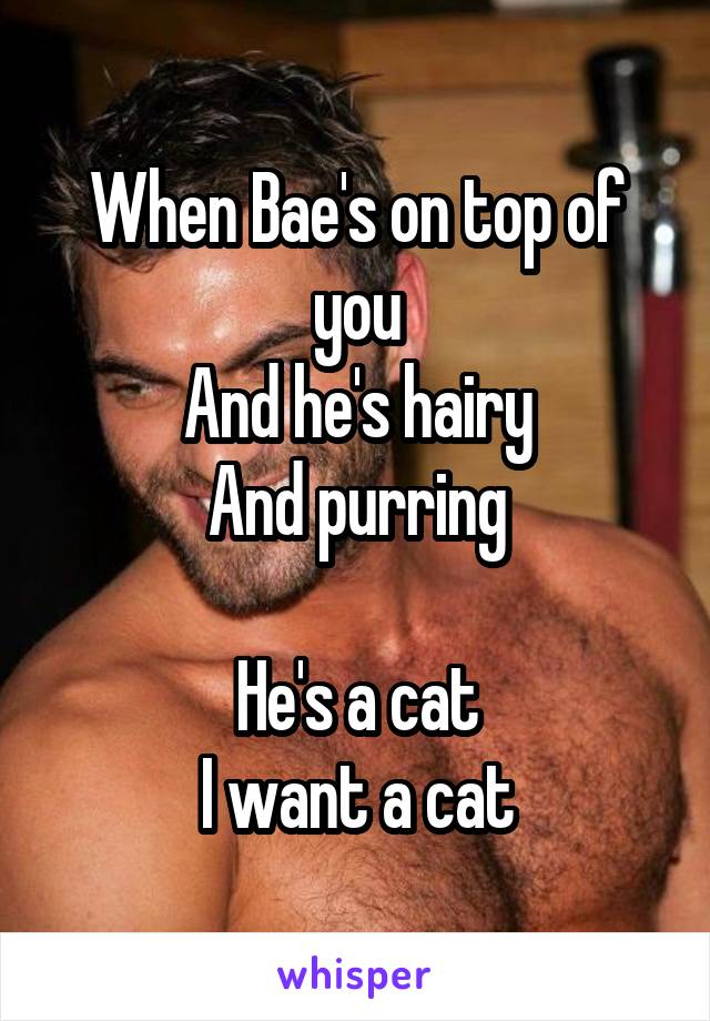 When Bae's on top of you
And he's hairy
And purring

He's a cat
I want a cat