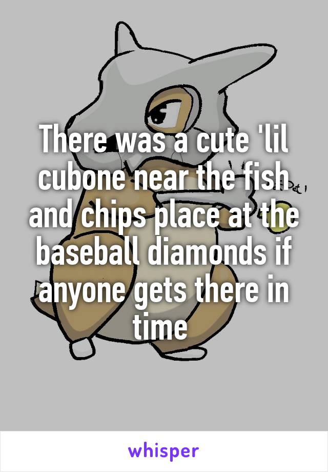 There was a cute 'lil cubone near the fish and chips place at the baseball diamonds if anyone gets there in time 