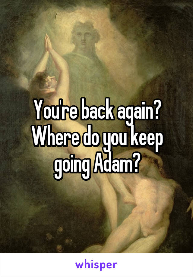 You're back again?
Where do you keep going Adam?