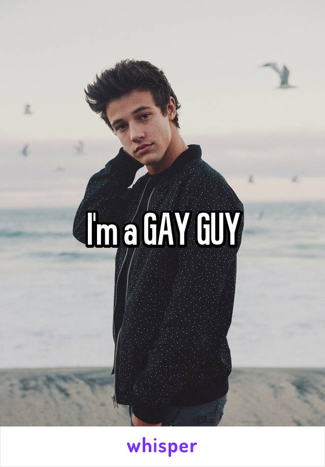 I'm a GAY GUY