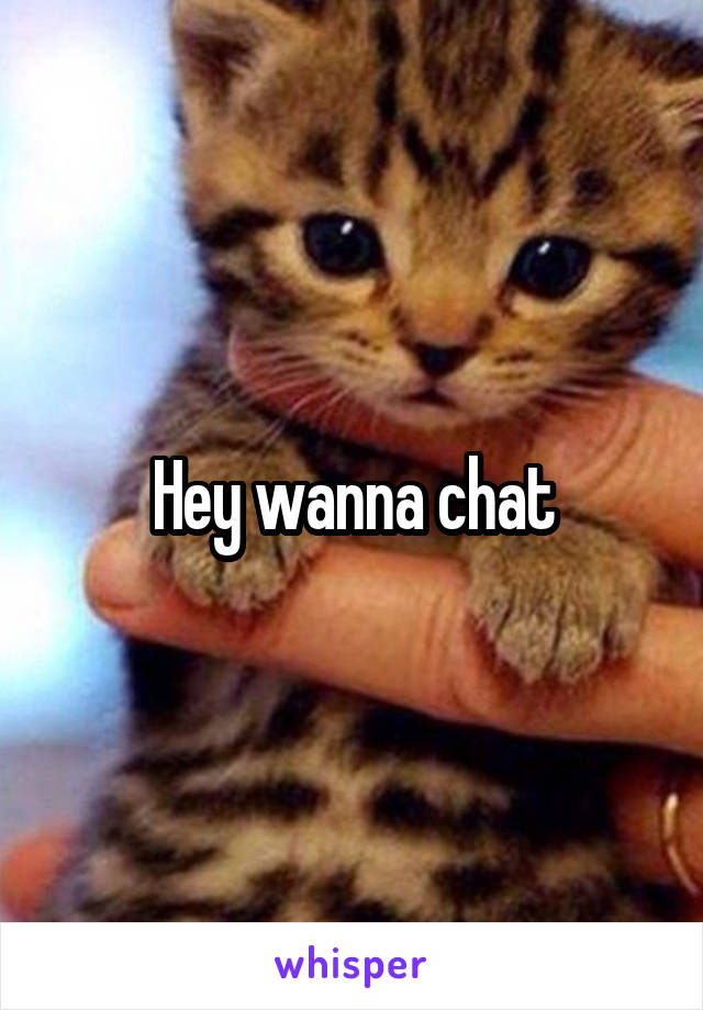 Hey wanna chat