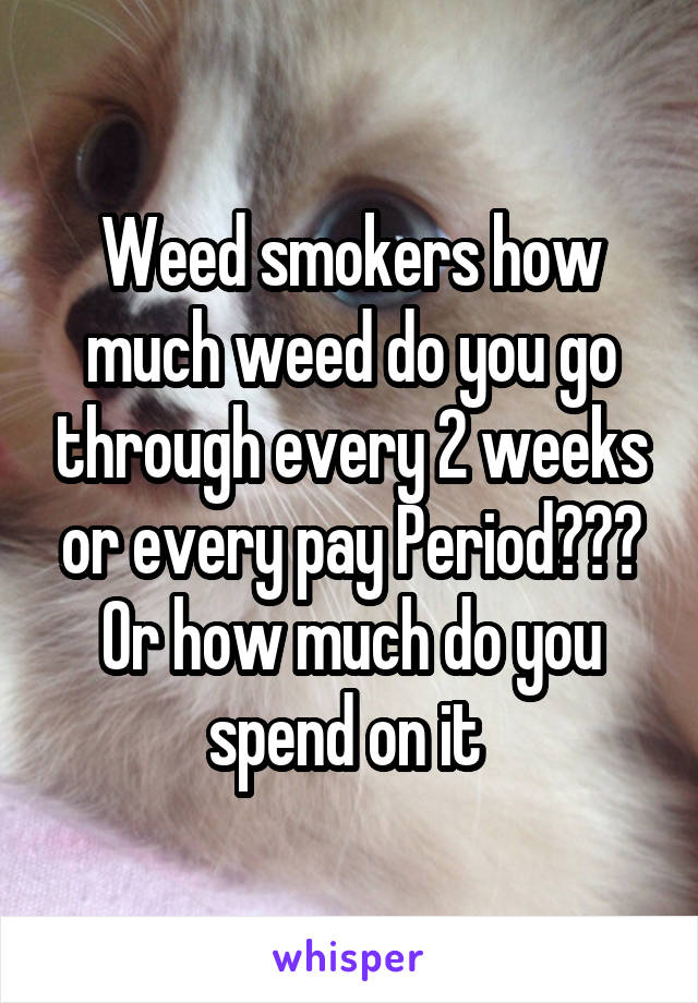 Weed smokers how much weed do you go through every 2 weeks or every pay Period??? Or how much do you spend on it 